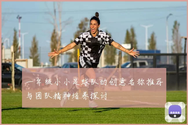 一年级小小足球队的创意名称推荐与团队精神培养探讨