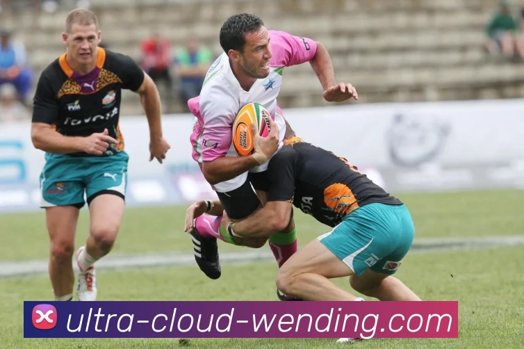 多媒体互动体验